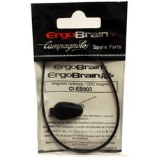 Calamita Campagnolo ErgoBrain