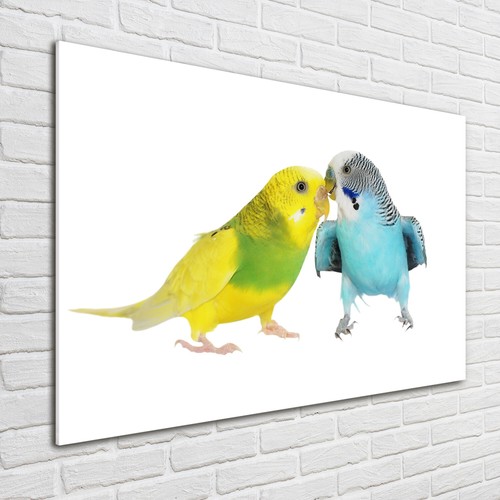 Quadro arte parete - da,
