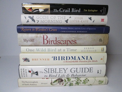 Birdmania birds ornithology - birdmania,