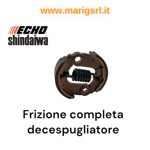 Frizione completa echo - completa,