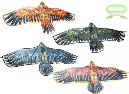 Aquilone aquila volante - aquila,