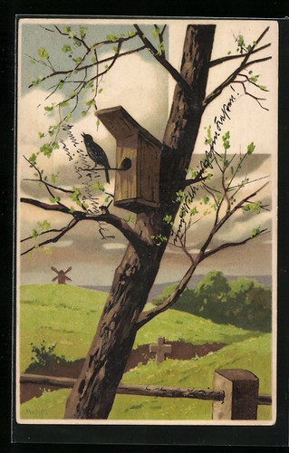 Cartolina artista alfred - cartolina,