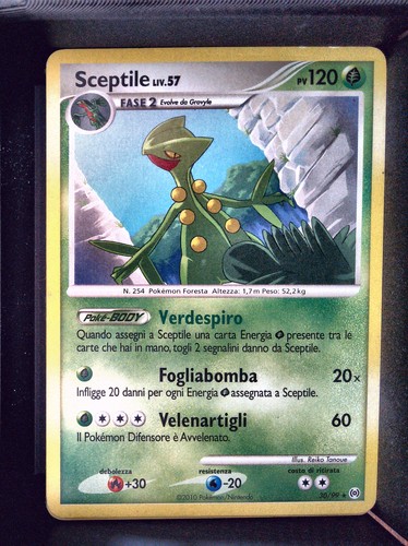 Pkmn sceptile arceus - pkmn,