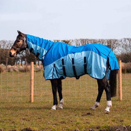 Tappeto cavallo rete affluenza