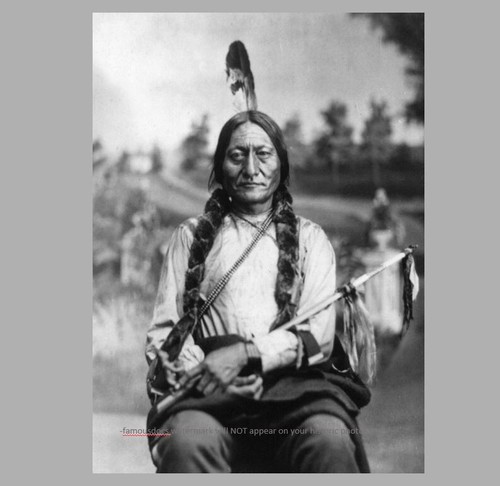 1881 capo toro seduto foto - 1881,