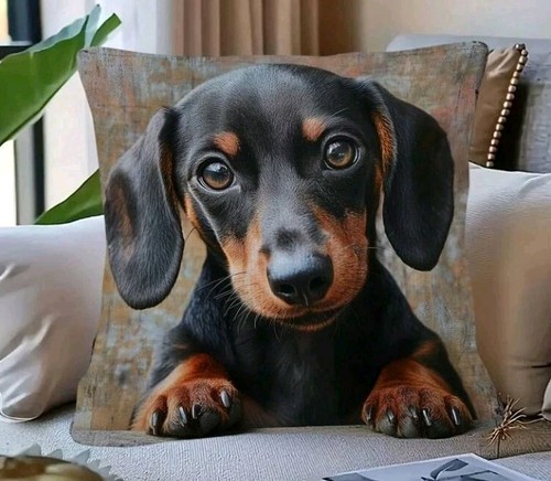 Copricuscino per cani - , cuccioli