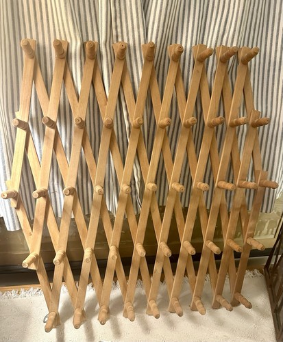 Fisarmonica vintage pioli - 49,