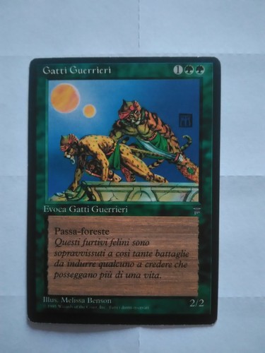 Carte mtg magic - ,