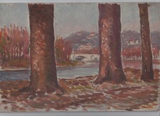 QUADRO DIPINTO AD OLIO TORINO PARCO MICHELOTTI CM. 20 X 30 FIRMATO G. PUGNO ?