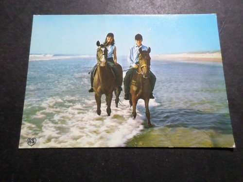 Cartolina camargue cavalli - camargue,