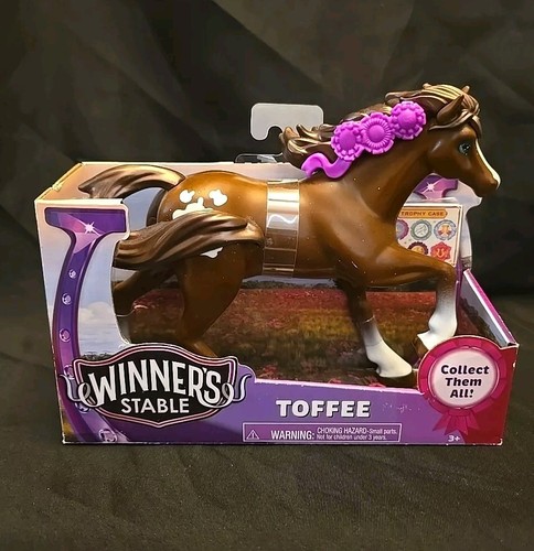 Winner stable cavallo - 6",