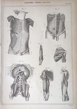 Stampa Antica Incisione fine