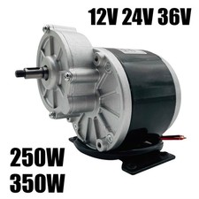 Triciclo Elettrico 250W 350W