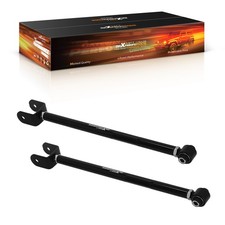 Bracci posteriore inferiore