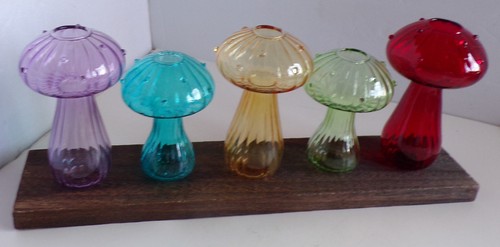 Vasi fiori funghi stazioni - funghi,