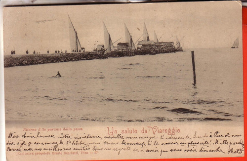 Cartolina viareggio fp - ,