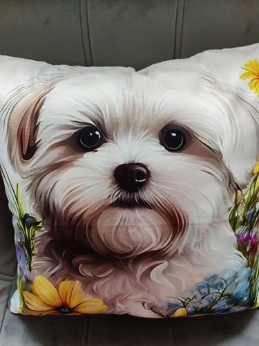 Copricuscino cane maltese