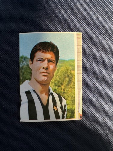 Calciatori reli 1971 - calciatori, 1971/72