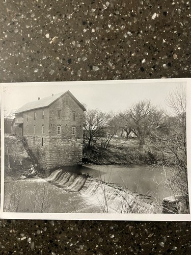 Cedar point mill - cedar, primi