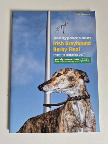 Irish greyhound derby final - greyhound,