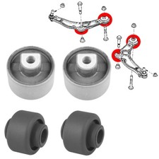 Boccole Dei Bracci Anteriori