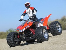 NUOVO guscio carrozzeria Quad