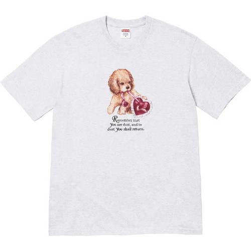 Supreme dust tee ash grey - ash,