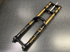 Forcelle Fox 40 Kashima