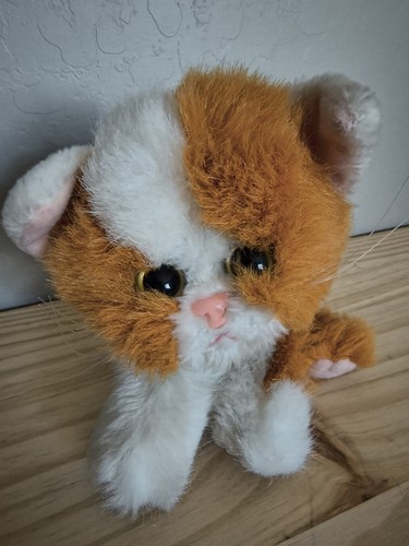 Peluche tyco kitty - tyco,