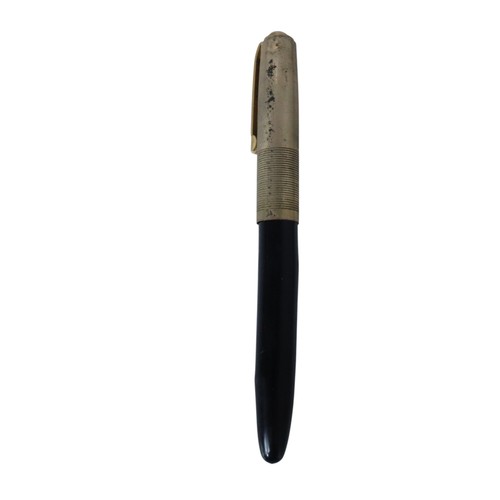 Penna stilografica universale