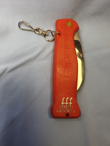 Coltello funghi - funghi,