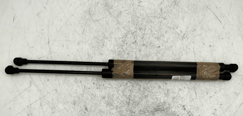 Asta ammortizzante portello