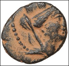 Seleucis e Pieria Bronzo antica moneta greca in bronzo certificata Tiche Tripode