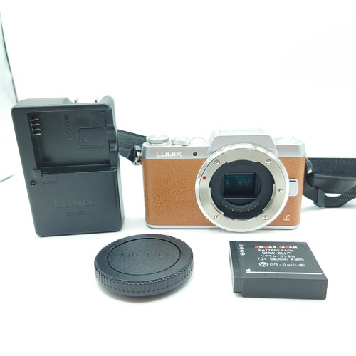 Mint panasonic lumix - panasonic,