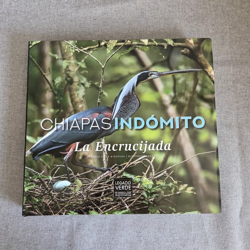 Chiapas indomito laencrucijada - chiapas,