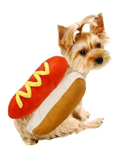 Nuovo costume hot dog - hot, pet