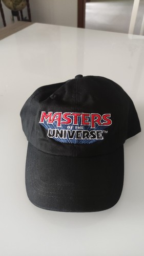 Masters the universe - the,