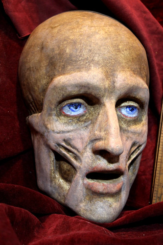 Maschera morte anatomica - maschera,
