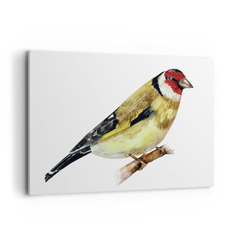 Quadro tela 100x70cm - su,