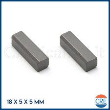 Coppia Carboncini Spazzole