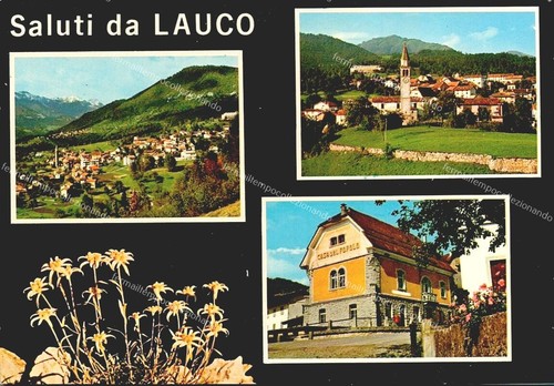 Eg244 cartolina lauco - eg244,