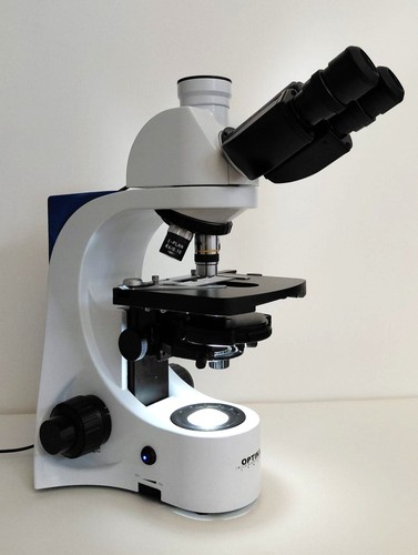 Microscopio ottico