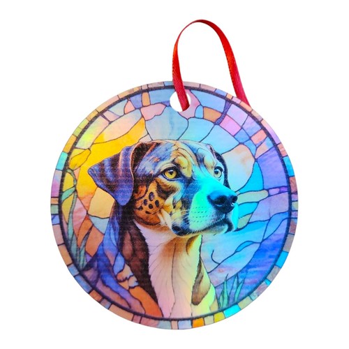 Catahoula cane leopardo - , 6