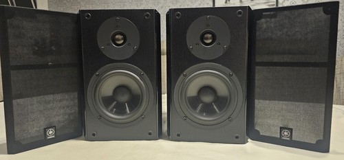 Yamaha e100 coppia - yamaha, nx-e100