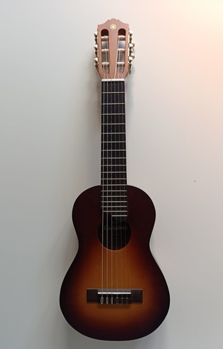 Chitarra legno 6 corde - in,
