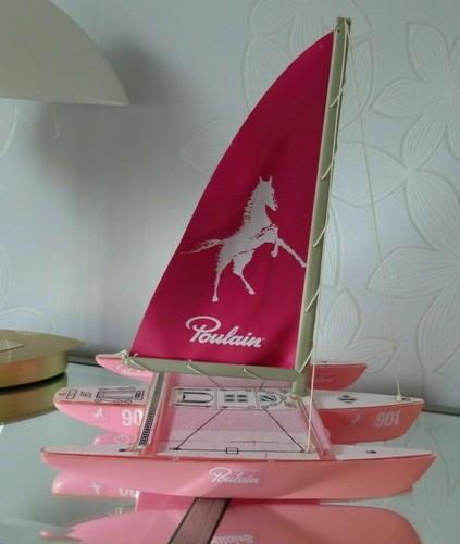 Kit maquette poulain - poulain, chocolat