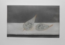 ACQUAFORTE ORIGINALE DI