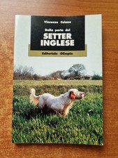 CELANO -DALLA PARTE DEL SETTER