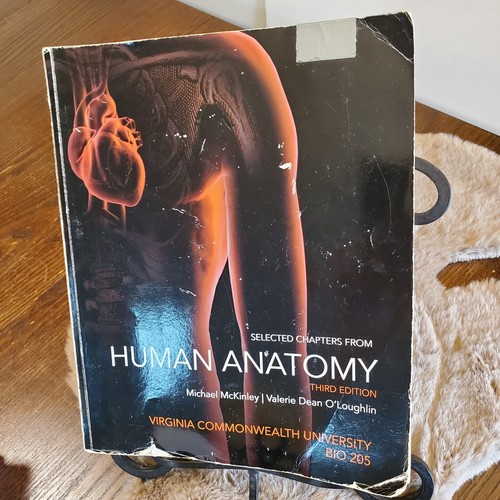 Anatomy physiology the unity