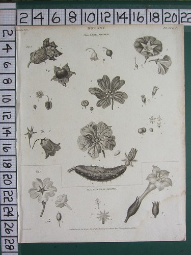 1807 datato antico - datato, stampa